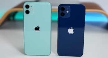 Большое сравнение iPhone 12, iPhone 11 и iPhone XR. Какой смартфон лучше купить в 2020 году?